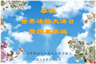 沈阳大法弟子庆祝世界法轮大法日(19条)