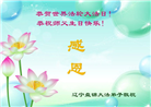 盘锦大法弟子庆祝世界法轮大法日(20条)