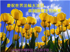 山东大法弟子庆祝世界法轮大法日(29条)