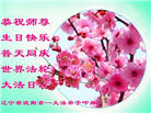 沈阳大法弟子庆祝世界法轮大法日(19条)