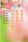 大陆大法弟子庆祝世界法轮大法日(27条)