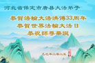 大陆大法弟子庆祝世界法轮大法日(27条)