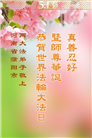 大陆大法弟子庆祝世界法轮大法日(26条)