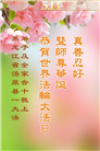 大陆大法弟子庆祝世界法轮大法日(28条)