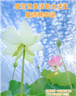 大陆大法弟子庆祝世界法轮大法日(26条)