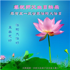 天津大法弟子庆祝世界法轮大法日(24条)