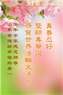 山东大法弟子庆祝世界法轮大法日(29条)