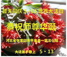 张家口大法弟子庆祝世界法轮大法日(19条)