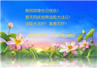 大陆大法弟子庆祝世界法轮大法日(27条)