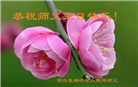 河北大法弟子庆祝世界法轮大法日(18条)