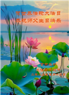 大陆大法弟子庆祝世界法轮大法日(27条)