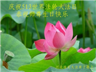 大陆大法弟子庆祝世界法轮大法日(27条)