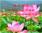 河北大法弟子庆祝世界法轮大法日(22条)
