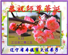 本溪大法弟子庆祝世界法轮大法日(19条)