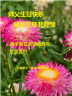 长春大法弟子庆祝世界法轮大法日(19条)