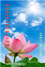 北京大法弟子庆祝世界法轮大法日(27条)
