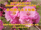佳木斯大法弟子庆祝世界法轮大法日(20条)
