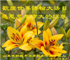 山东大法弟子庆祝世界法轮大法日(24条)