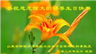 山东大法弟子庆祝世界法轮大法日(24条)