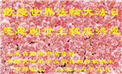 山东大法弟子庆祝世界法轮大法日(24条)