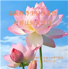 张家口大法弟子庆祝世界法轮大法日(23条)