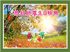 美国各地大法弟子庆祝世界法轮大法日