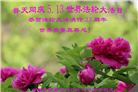 大陆大法弟子庆祝世界法轮大法日(30条)