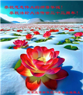 大陆大法弟子庆祝世界法轮大法日(32条)