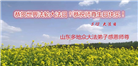 山东大法弟子庆祝世界法轮大法日(24条)