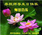 成都大法弟子庆祝世界法轮大法日(19条)