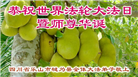 四川大法弟子庆祝世界法轮大法日(18条)