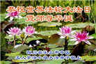 四川大法弟子庆祝世界法轮大法日(19条)