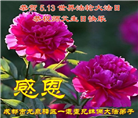 成都大法弟子庆祝世界法轮大法日(22条)