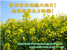 陕西大法弟子庆祝世界法轮大法日(18条)