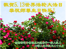 陕西大法弟子庆祝世界法轮大法日(18条)