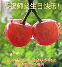 四川大法弟子庆祝世界法轮大法日(19条)