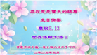重庆大法弟子庆祝世界法轮大法日(22条)