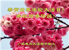 广东大法弟子庆祝世界法轮大法日(20条)