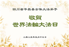 四川大法弟子庆祝世界法轮大法日(19条)