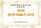 湖南大法弟子庆祝世界法轮大法日(18条)