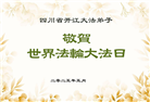 四川大法弟子庆祝世界法轮大法日(19条)