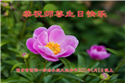 西安大法弟子庆祝世界法轮大法日(18条)