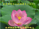 成都大法弟子庆祝世界法轮大法日(18条)