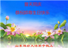 潍坊大法弟子庆祝世界法轮大法日(19条)