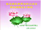 江苏大法弟子庆祝世界法轮大法日(18条)