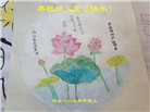 湖北大法弟子庆祝世界法轮大法日(20条)