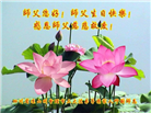 四川大法弟子庆祝世界法轮大法日(18条)