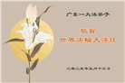 广东大法弟子庆祝世界法轮大法日(22条)