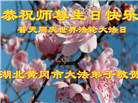 湖北大法弟子庆祝世界法轮大法日(19条)