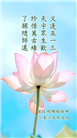 大陆大法弟子庆祝世界法轮大法日(32条)
